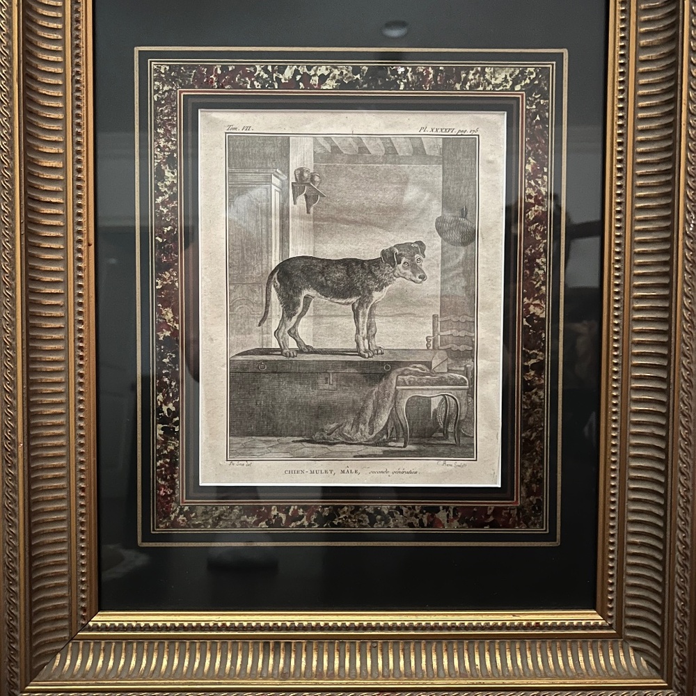 Antique Copper Engraved Prints